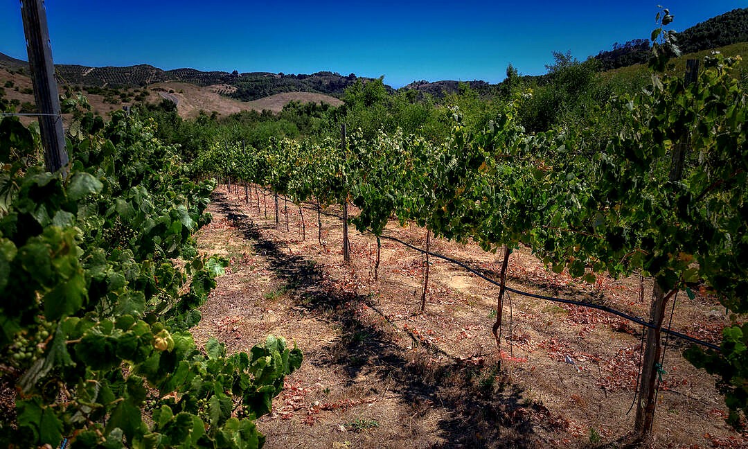 Temecula vineyard estate sold by Josh Reef